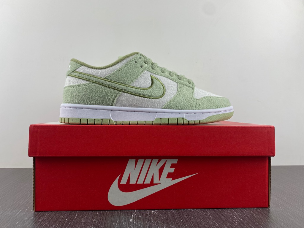 Dunk Low SE DQ7579-300